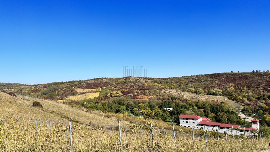 14Ha podgorie, livada pomi fructiferi, si conac 3000mp - Poză 14