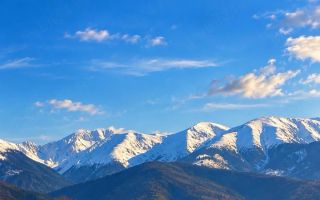 Teren intravilan de vânzare | Avrig, Exterior Est | 600 mp - Poză 3
