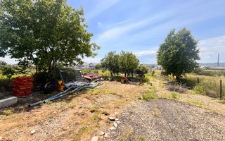 Casa si 4 Hale de Vanzare  cu 24 Ari I Suceava/Burdujeni I 430.000Euro - Poză 6