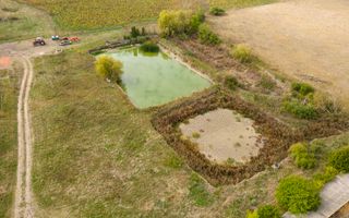 Teren intravilan cu iazuri și casă - Chișineu-Criș - Poză 7