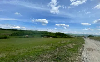Teren extravilan 10000 mp, Jelna. - Poză 13