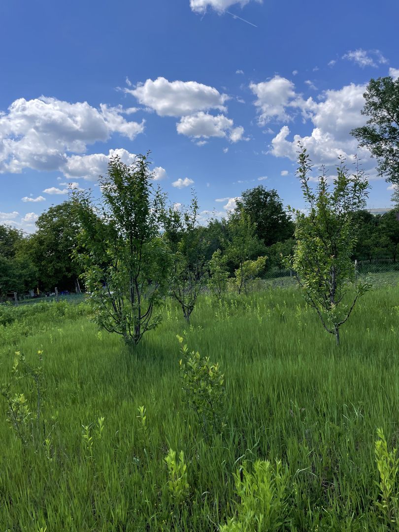 Casa in Comuna Geaca - Poză 16