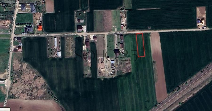 Teren intravilan Caciulati/Moara Vlasiei - Poză 1