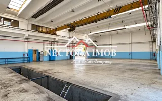 NECTORA IMOB-SpatiI industriale cu incalzire pe gaz,Acces TIR,Uzinelor - Poză 12