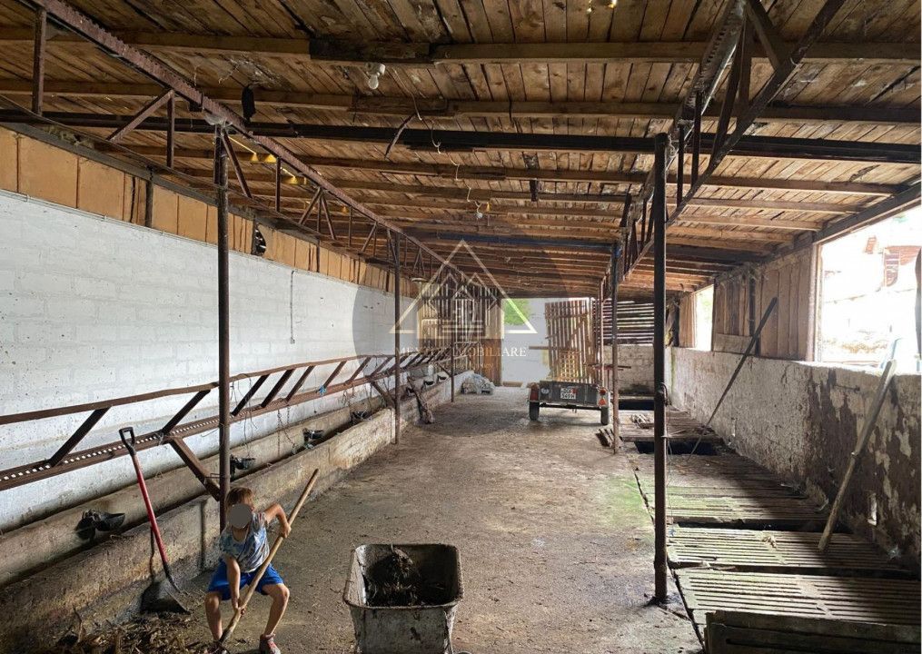 Fermă de vanzare - Poză 7