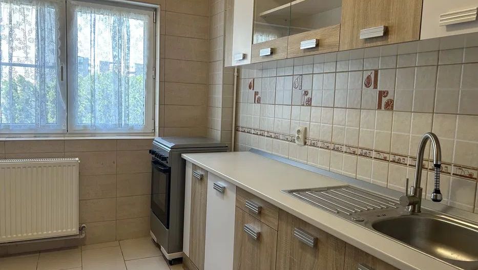 Apartament 2 camere Tineretului / The Park - Poză 5