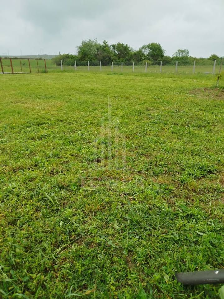 Grădină 862 mp cu cabanuta și pomi fructiferi – între Tălmaciu și Sadu - Poză 6