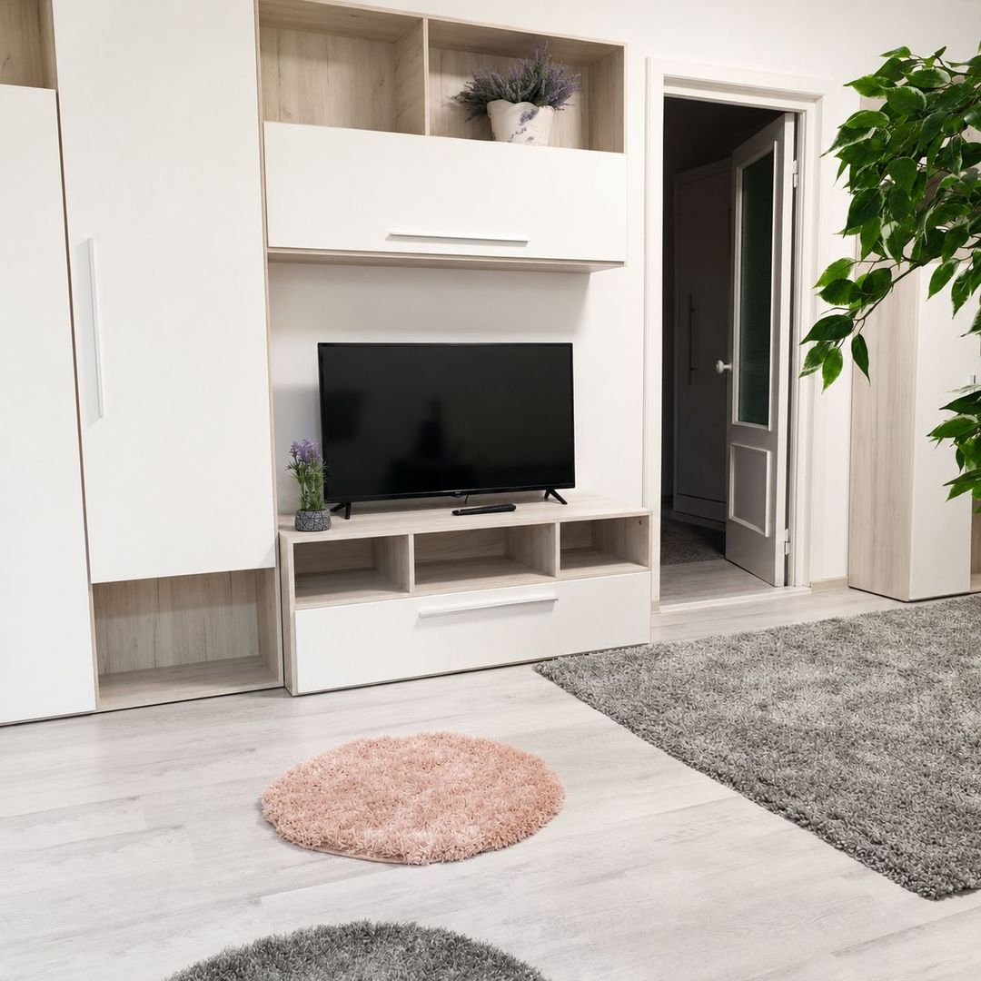 Apartament cu 2 camere de închiriat – Spitalul Județean, Timișoara - Poză 7