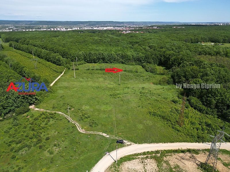 Vanzare teren Balotesti, la padure - Poză 8