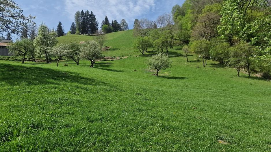 Langa emblematicul Castelul Bran, in areal colinar, 5.700mp intravilan - Poză 17