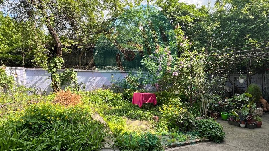 Apartament RENOVAT 3 camere Cotroceni-Curte comuna - Poză 4