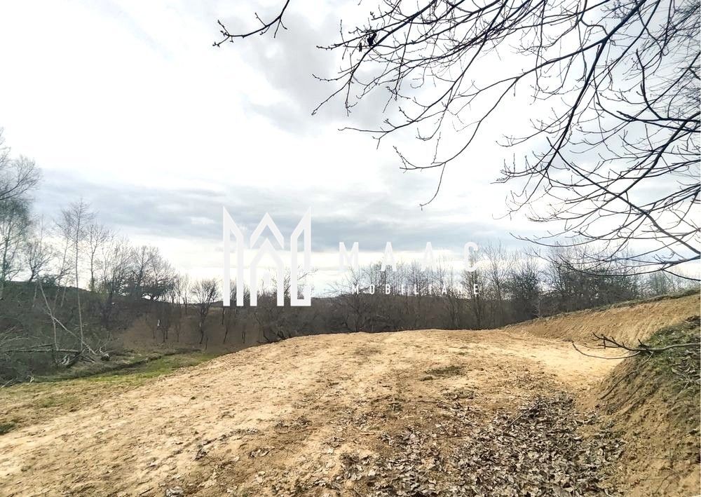 Teren extravilan agricol 1.184 mp | Sibiel | utilități la 100 m - Poză 8