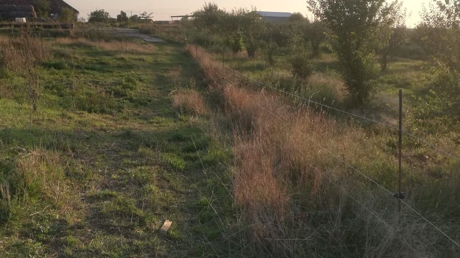 Ferma de vânzare - Poză 7