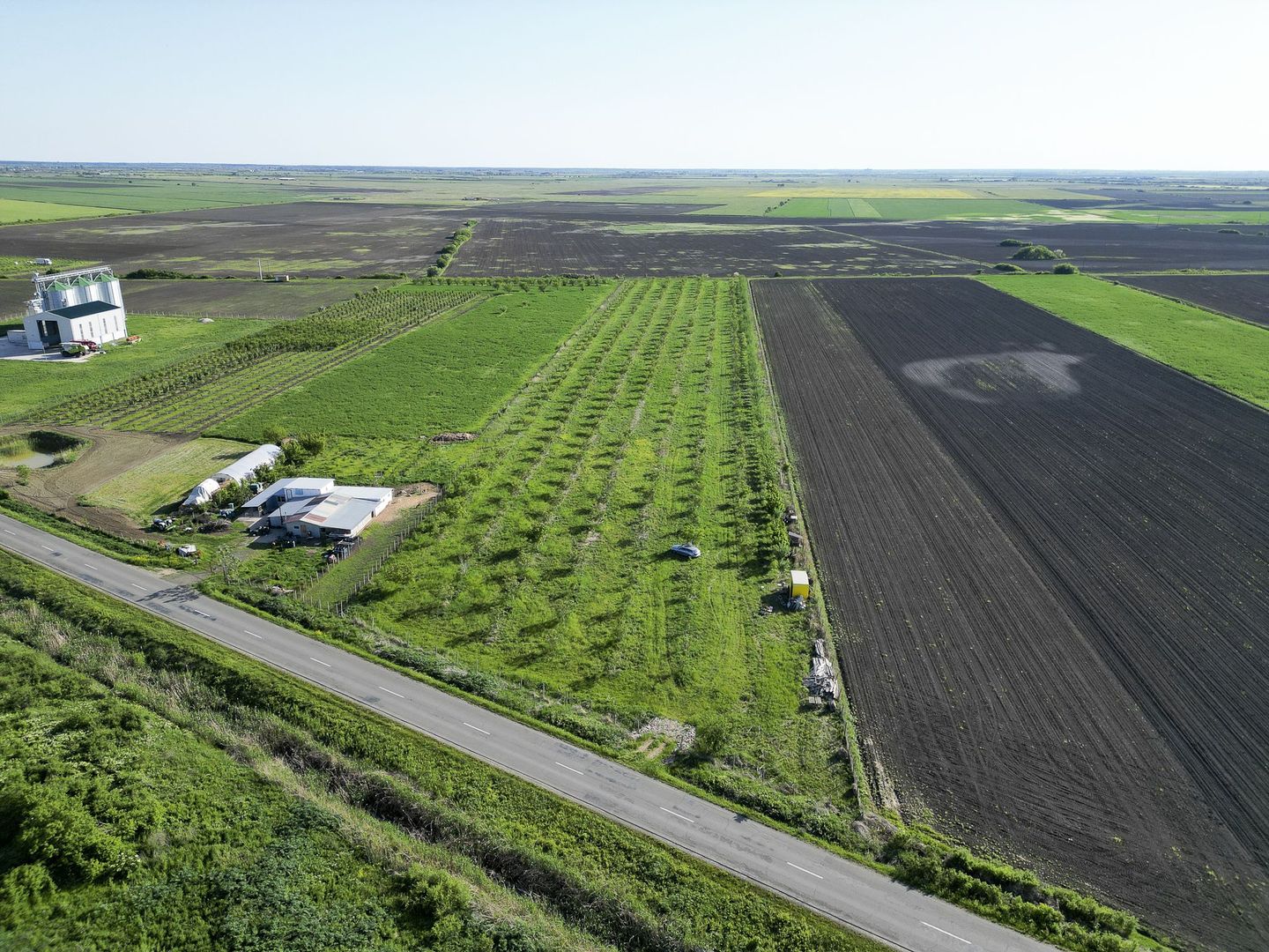 Livadă de nuci și pruni 2.4ha în Variașul Mare - Poză 13