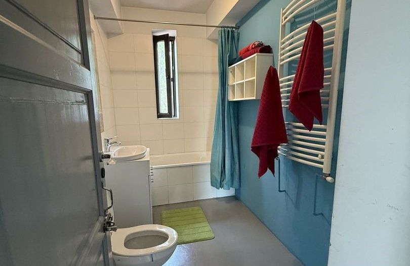 Vilă cu 6 camere de închiriat | Snagov - Vlădiceasca | Pet Friendly - Poză 10