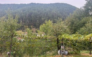 Casa Individuala I 2 Camere I Rasinari - Poză 8