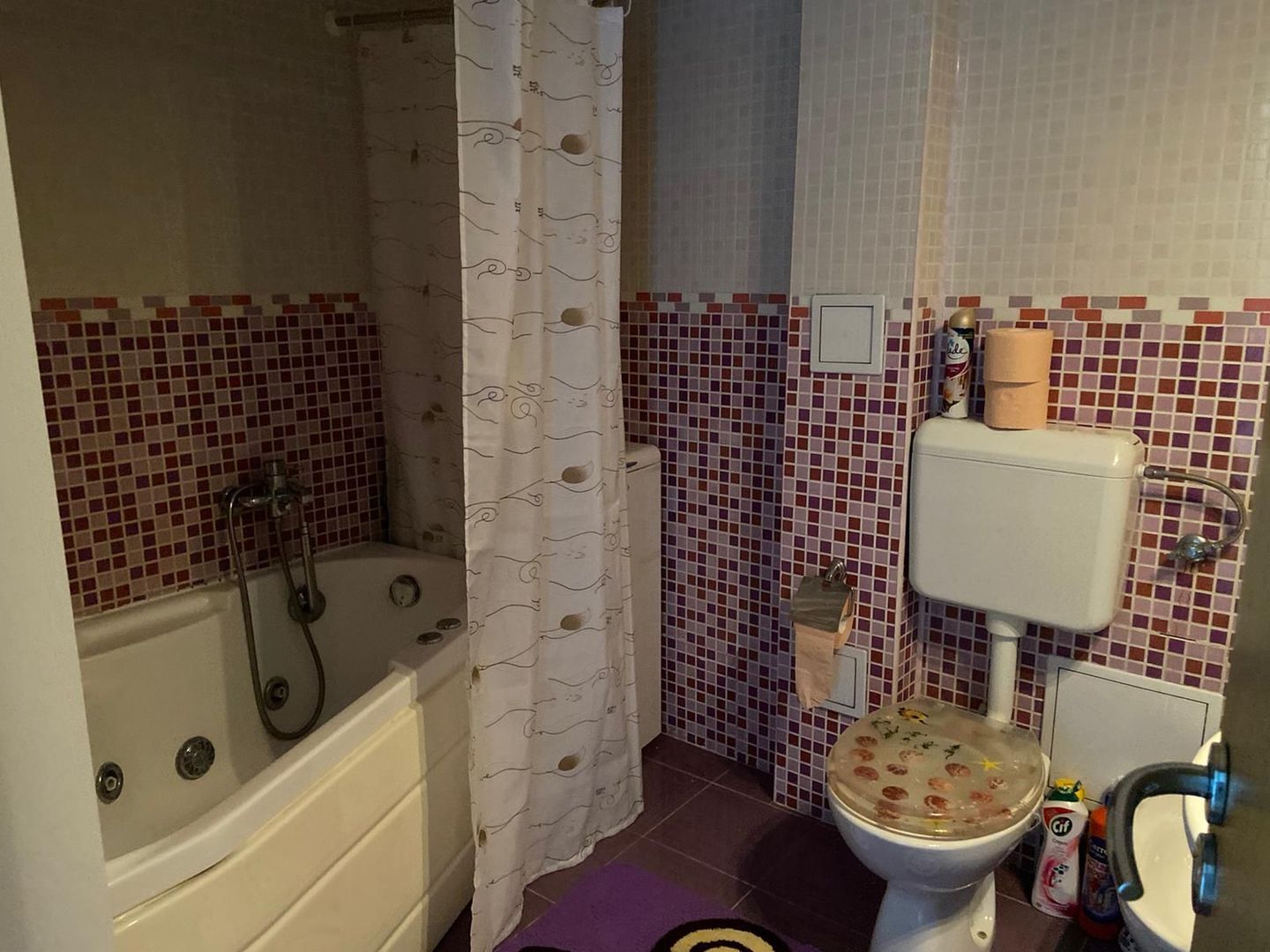 Apartament 3 camere  Unirii - Poză 15