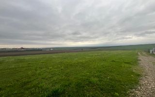 Teren De Vanzare I Moara, Suceava I Preț: 45.000 Euro - Poză 5