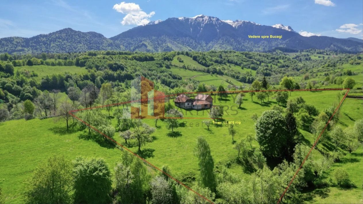 Teren 15.856 mp în Bran Sohodol | Ideal dezvoltare turistică - Poză 2