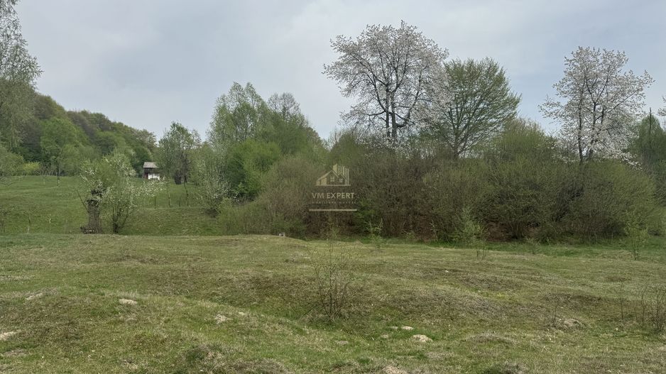 TEREN EXTRAVILAN 40000 MP, ALBESTI DE MUSCEL, CANDESTI - Poză 15