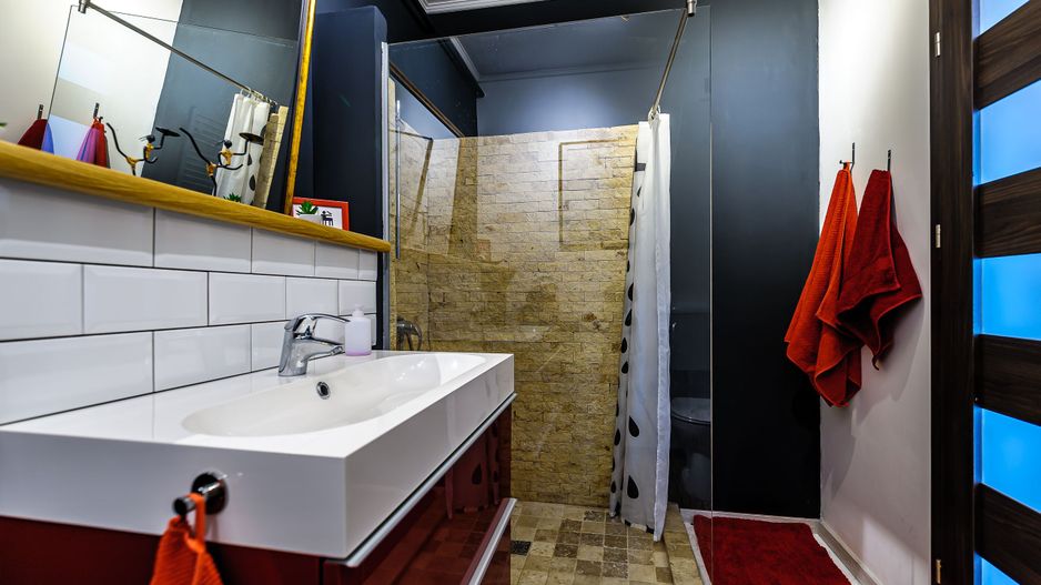 Apartament cu o cameră zona Romanilor - Poză 5