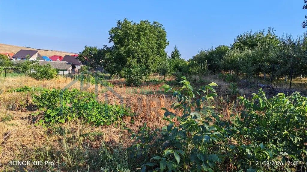 Teren de vânzare în Dealul Viilor, Hârlău – 2.100 mp, gard și pomi fructiferi - Poză 4