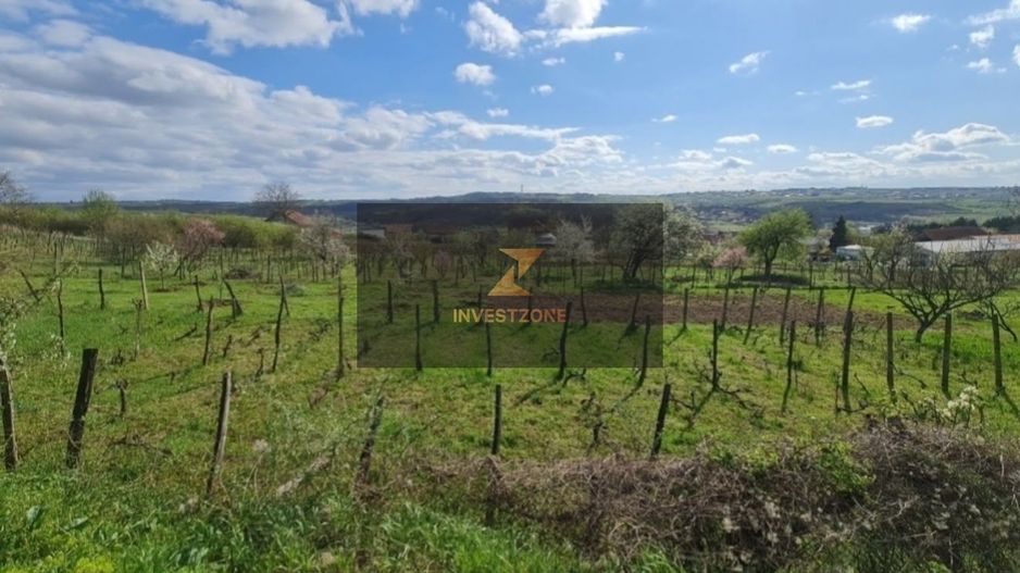 Teren de vânzare în Paleu – 1.107 mp, vis a vis de lac - Poză 2