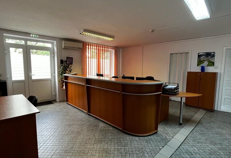 Spatiu industrial productie/ depozitare, Timiș - Poză 38