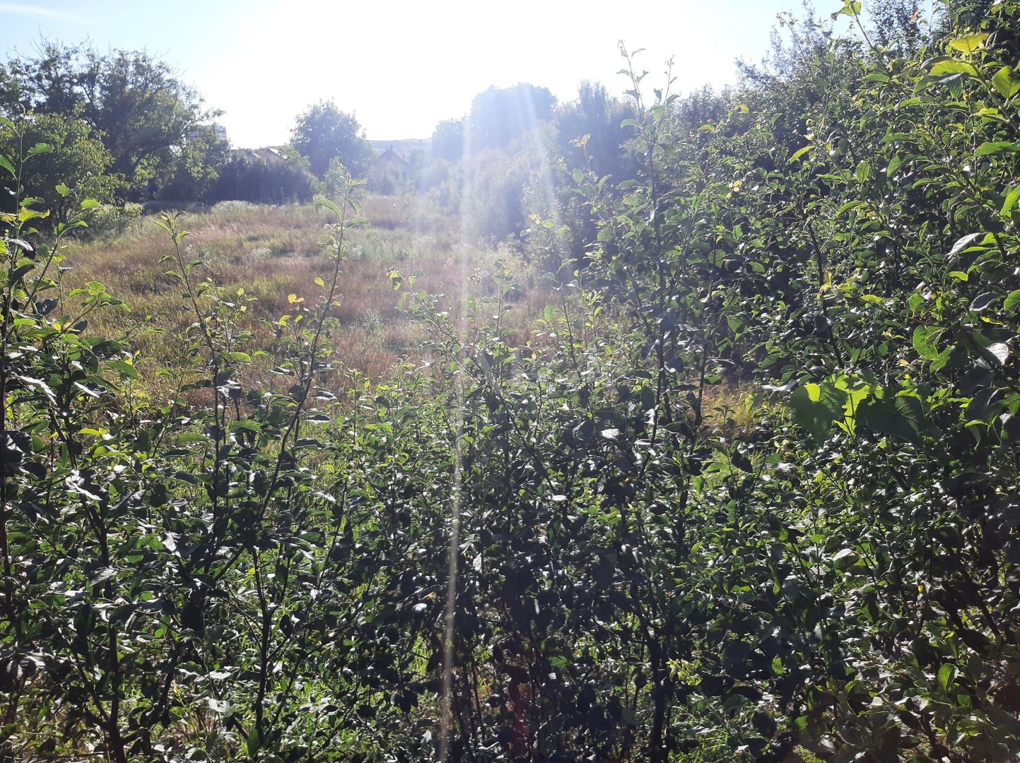 Exclusivitate! Casa în Zona Dâmbul Rotund, 3046mp teren. - Poză 4