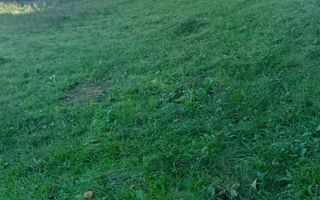 Teren | 1.525 mp  Râul Sadului - Poză 4