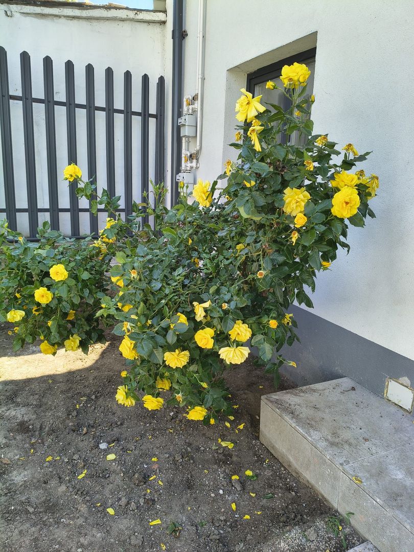 De inchiriat! Duplex nou, zona centrala - Poză 27