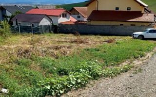 Teren Intravilan | Șura Mare - Poză 3