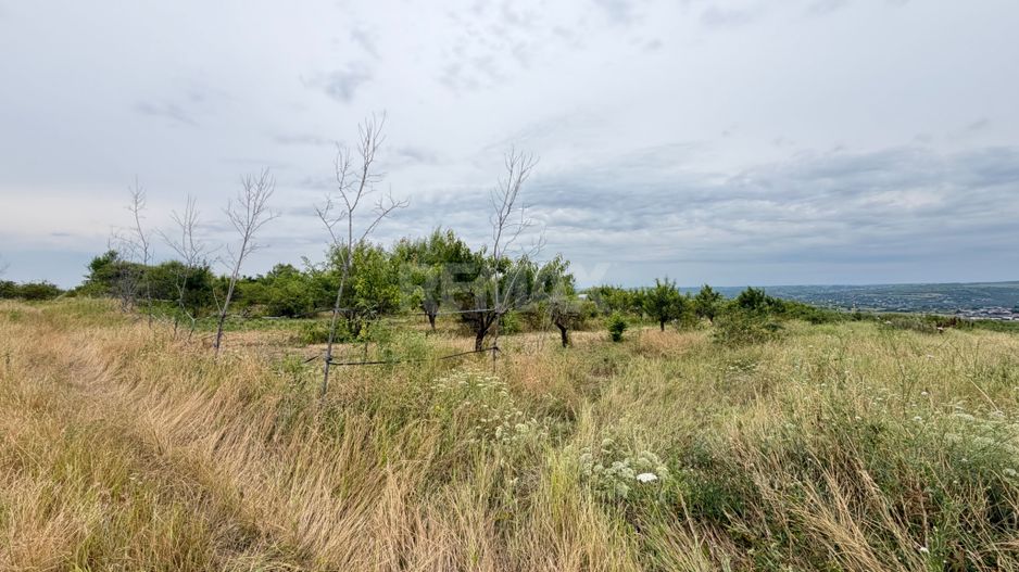 40 Ari Teren Agricol Ialoveni - Poză 4