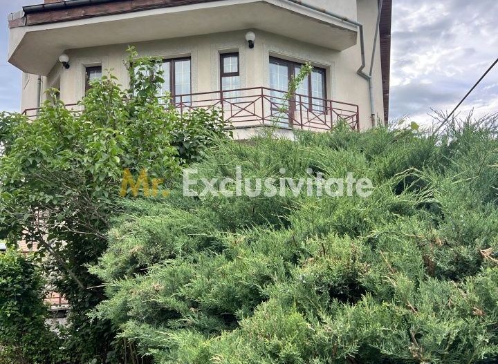 Acasă la Bascov- Județ Arges cu peisaj de poveste - Poză 27