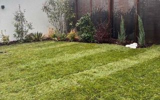 Vila 4 camere , individuala, Pipera, finisaje premium - Poză 4