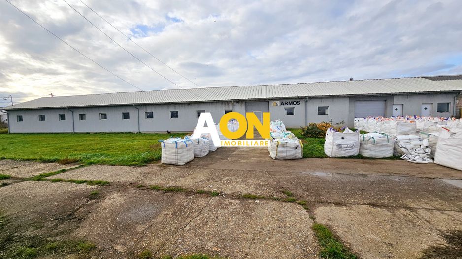 HALĂ Industrială/Producție 573mp, Teren 2793mp, DJ 107F, Comision 0 - Poză 1