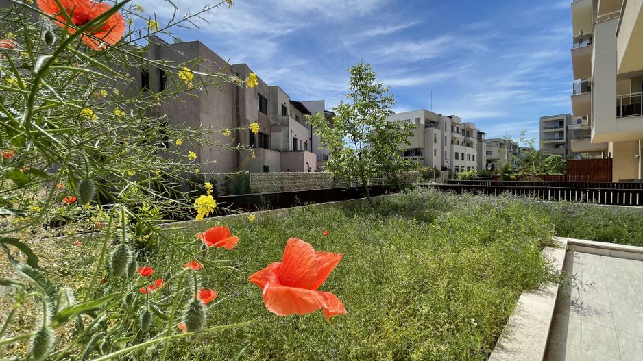 Garsoniera cu gradina in Pipera | Perla Residence - Poză 10