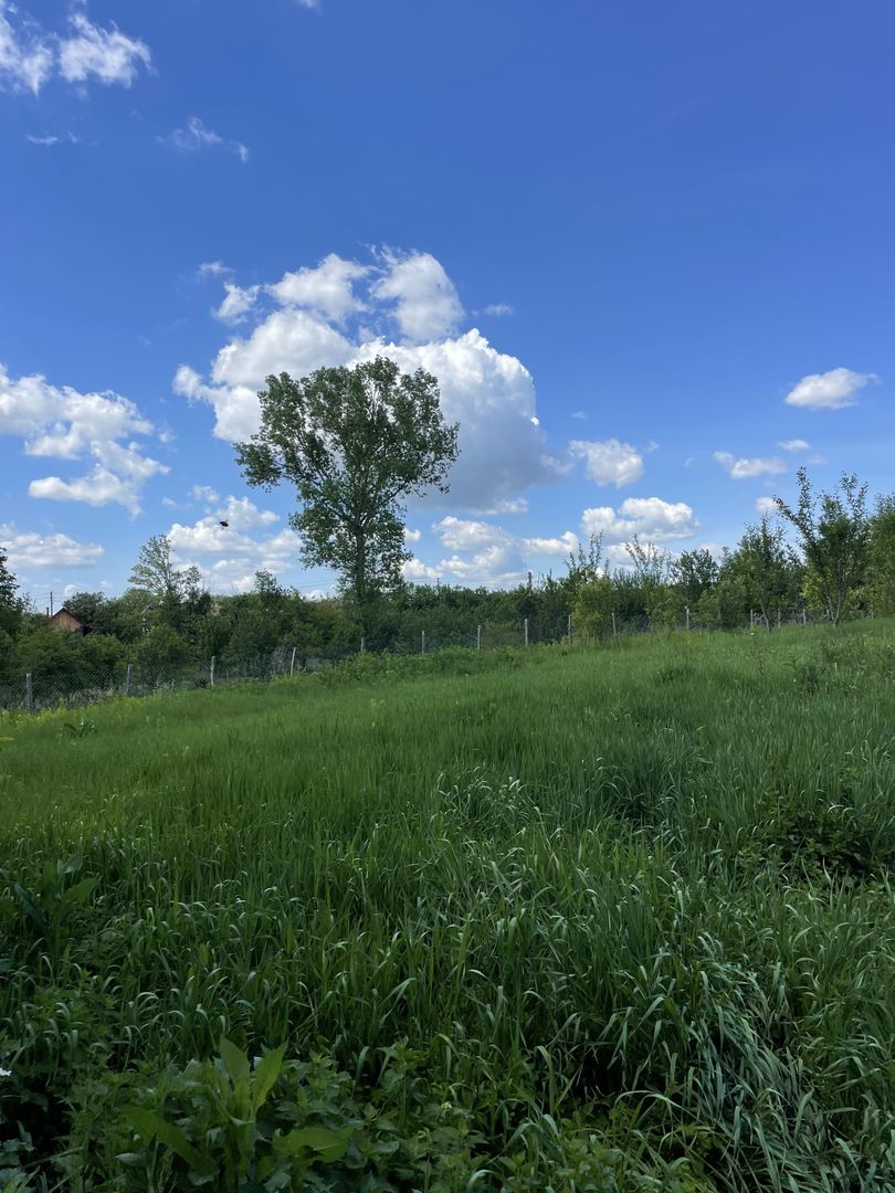 Casa in Comuna Geaca - Poză 13