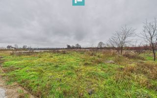 Teren intravilan de 4131 mp, în orașul Sebiș, Arad - Poză 2