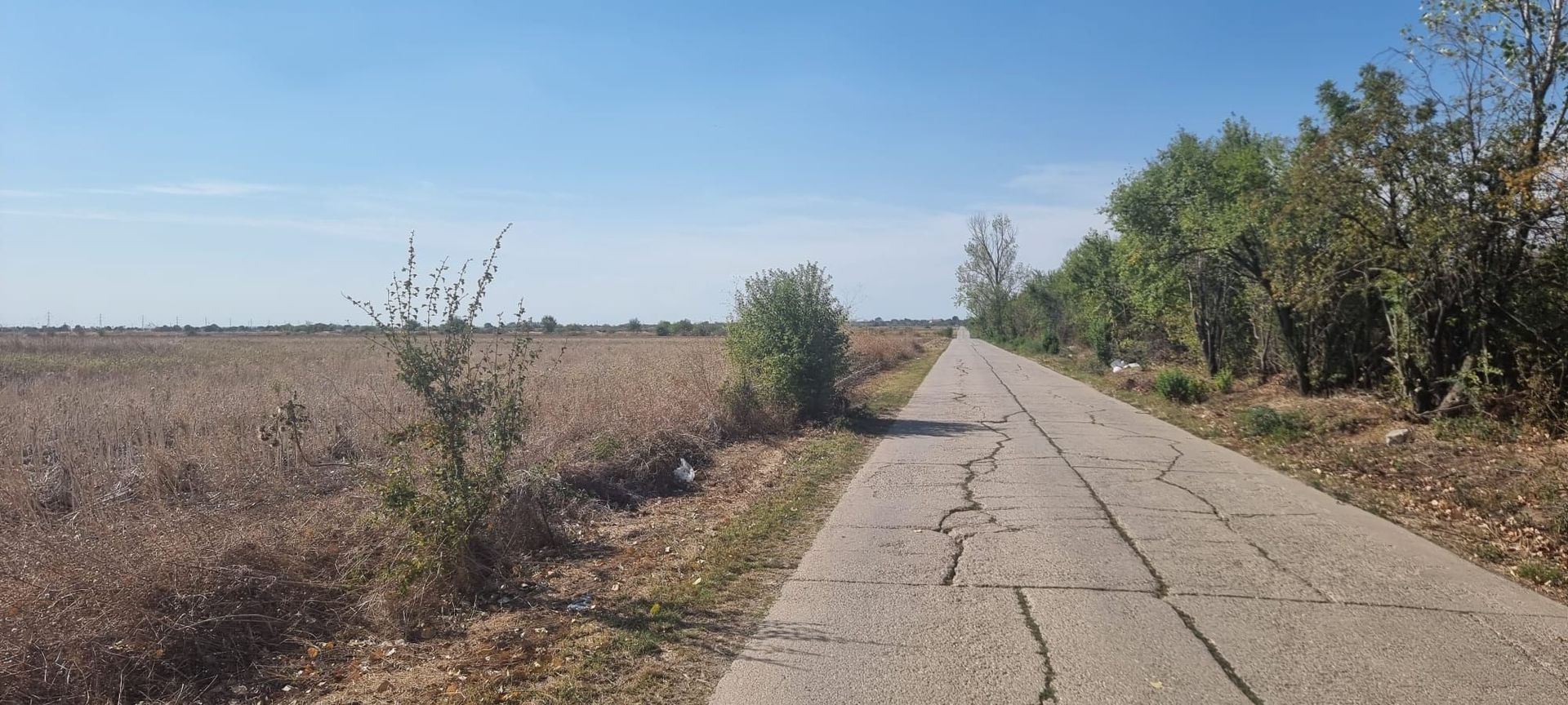 Oportunitate de investitie | Teren intravilan de vanzare | 5000 mp - Poză 6