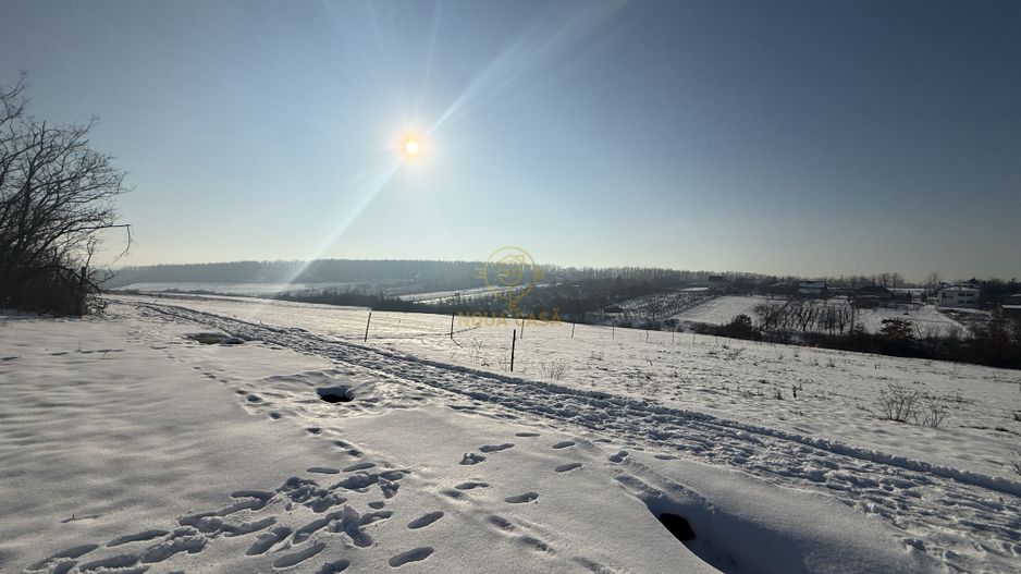 De vanzare Teren Intravilan Viile Satu Mare 1439 MP/ZONA FOARTE BUNA - Poză 5