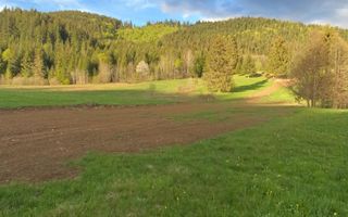 Teren Extravilan | 6.100 mp | Brodina | 41.500 € negociabil - Poză 13