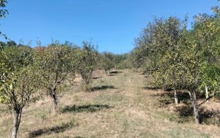 Teren intravilan de vânzare | Tepșenari, Milcoiu | 2200 mp - Poză 2