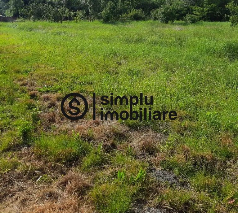 Teren 2400 mp, Simnicu de Sus - Poză 3