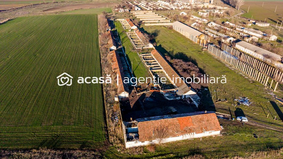 Ferma 1.15 HA lângă DN7 & Autostrada E68 – Nădlac | clădiri+utilități - Poză 2