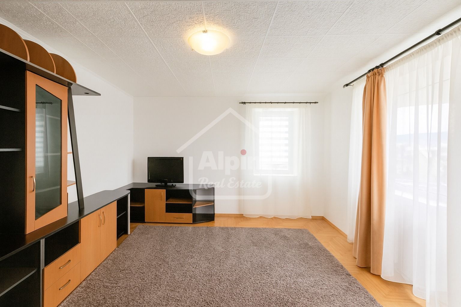 Suprafata Generoasa Garii - Poză 1