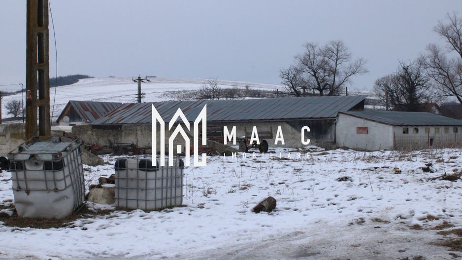 Teren 8000 mp I Intravilan I Utilitati- Vurpar - Poză 5