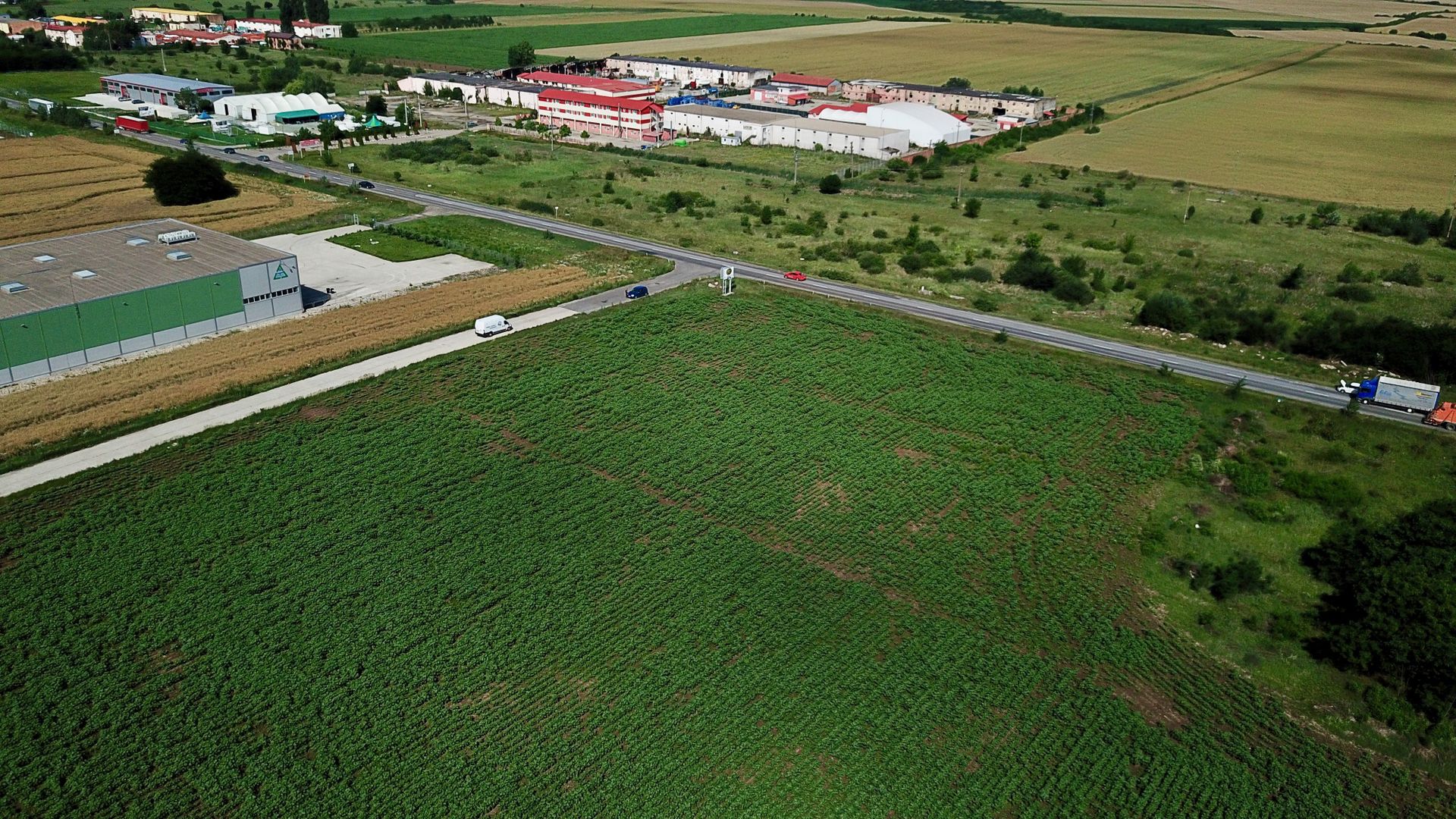 Parcele teren industrial cu PUZ - 2.700 mp, Giarmata - Poză 2