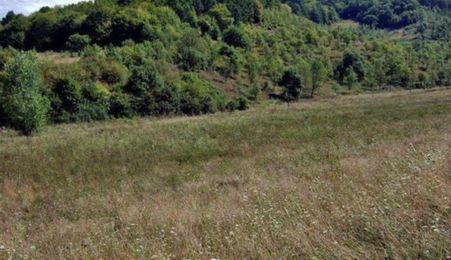 VÂNZARE RAPIDĂ – TEREN 2 HECTARE, VIILE DEJULUI, CLUJ!