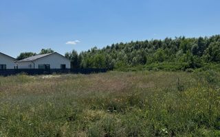 Domnesti - Strada Salciei - Teren intravilan 500 mp x 2 loturi - Poză 1